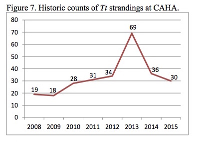 Figure 7. Historic counts of Tt strandings at CAHA.