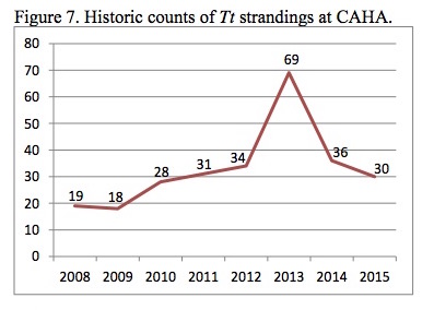 Figure 7. Historic counts of Tt strandings at CAHA. Figure 7. Historic counts of Tt strandings at CAHA.