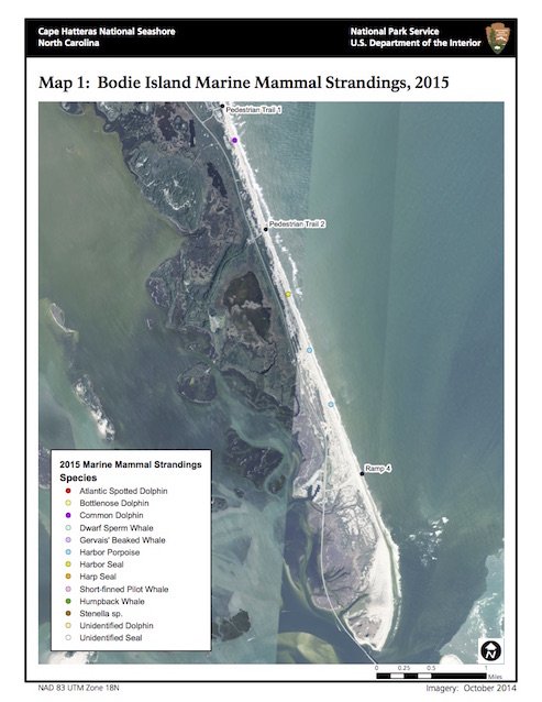 Map 1: Bodie Island Marine Mammal Strandings, 2015
