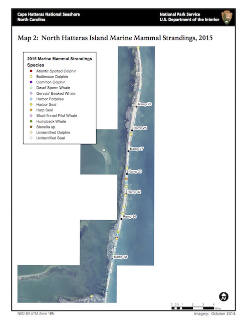 Map 2: North Hatteras Island Marine Mammal Strandings, 2015