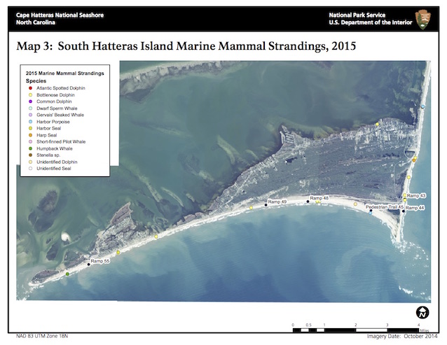 Map 3: South Hatteras Island Marine Mammal Strandings, 2015