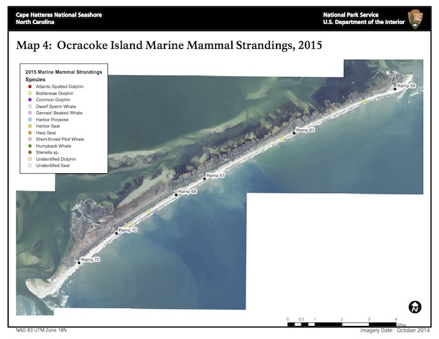 Map 4: Ocracoke Island Marine Mammal Strandings, 2015