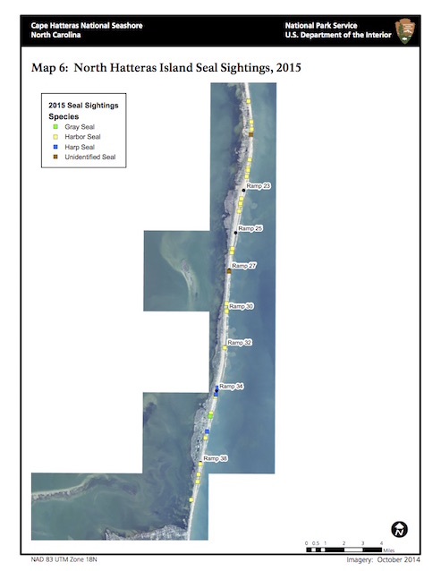 Map 6: North Hatteras Island Seal Sightings, 2015