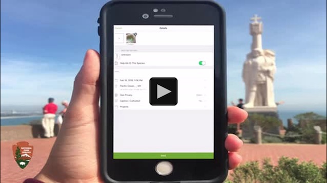 iPhone showing how to setup iNaturalist iPhone showing how to setup iNaturalist
