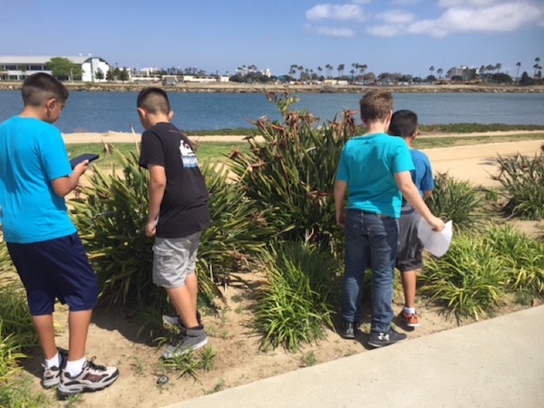Students conducting BioBlitz lesson by shoreline