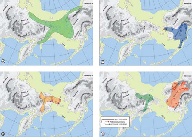 Large scale biogeographic patterns in Beringia with the maximum extent of the Bering Land Bridge Large scale biogeographic patterns in Beringia with the maximum extent of the Bering Land Bridge