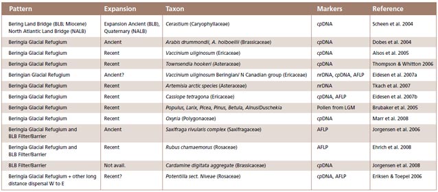 A chart of patterns of plants in Beringia. A chart of patterns of plants in Beringia.