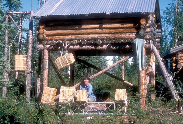 An I&M volunteer botanist arranging plant presses