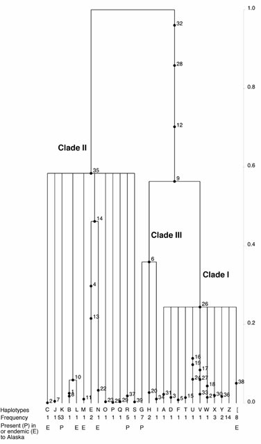 Distribution of mutations for the ITS region. Distribution of mutations for the ITS region.