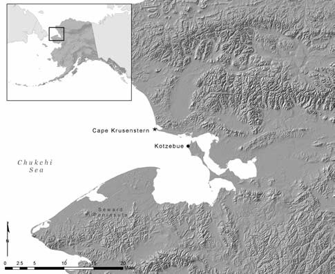 Cape Krusenstern study area. Cape Krusenstern study area.