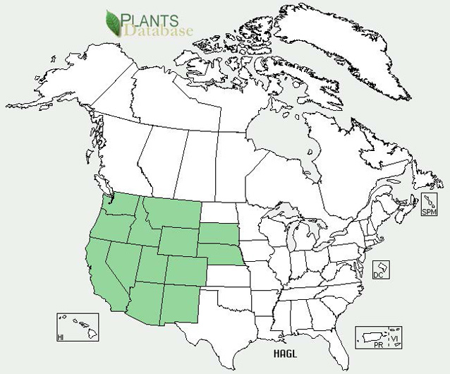 Distribution map for halogeton Distribution map for halogeton