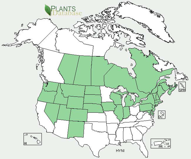 Distribution map for black henbane