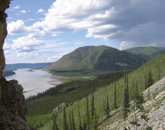 View along the Yukon River. View along the Yukon River.