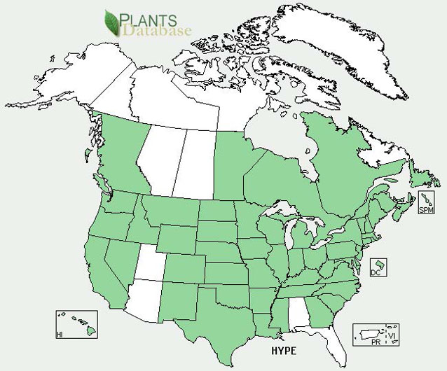 Distribution map for St. Johnswort