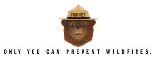 Cartoon graphic of a bear wearing a ranger hat, text "Only You Can Prevent Wildfires"