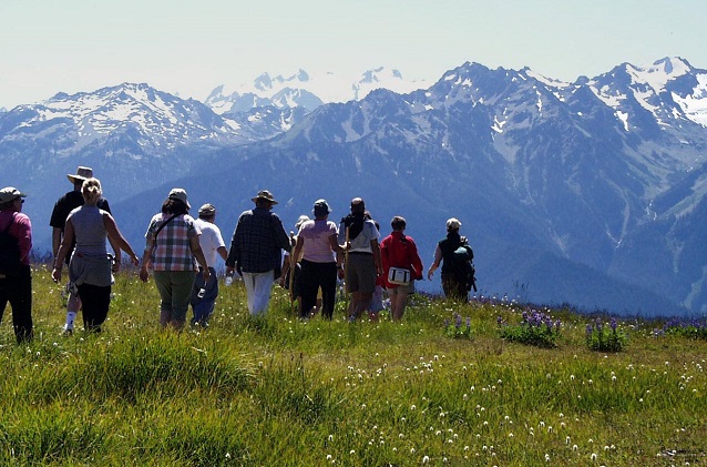 Group hiking Hurricane Ridge with a ranger