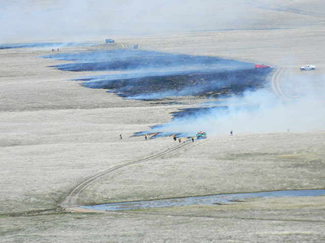 Aerial view of firefighters conducting prescribed burn.