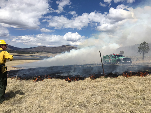 Firefighters watches an engine drive by on a prescribed burn