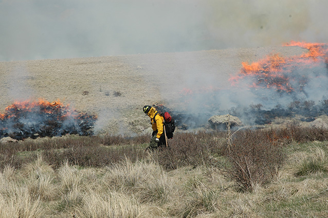 Firefighters ignites prescribed burn with a driptorch