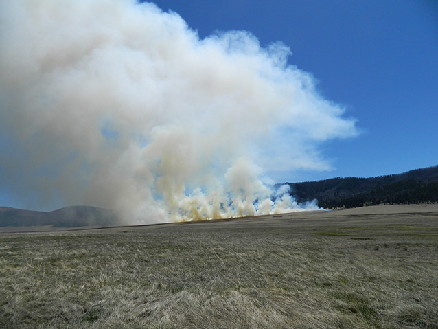 Smoke from prescribed burn