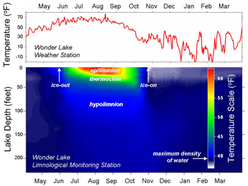 Graph displaying average water temperature compared to depth Graph displaying average water temperature compared to depth