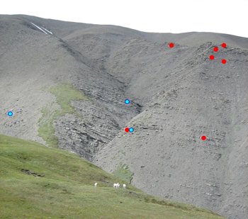 Dots show distribution of dinosaur tracks found in a rock outcrop Dots show distribution of dinosaur tracks found in a rock outcrop