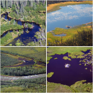Ponds and streams as viewed from the air Ponds and streams as viewed from the air
