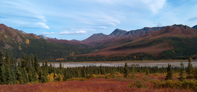 Tundra landscape in the fall, orange and red colors