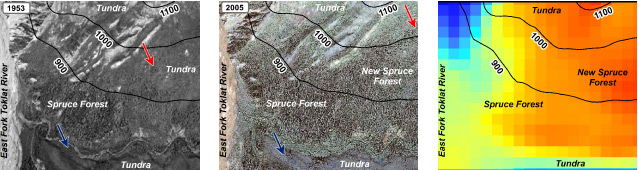 three aerial images display vegetation change