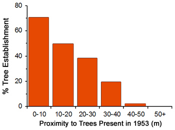 bar graph shows decreasing tree establishment with closer proximity to more trees