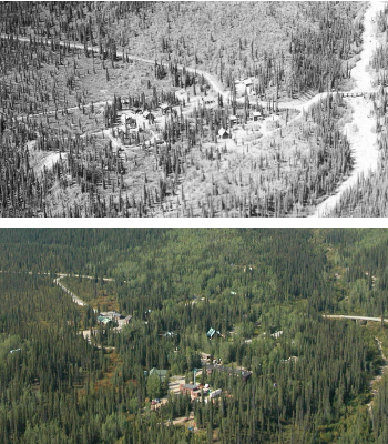 Aerial view of increased vegetation around headquarters between 1947 and 2004