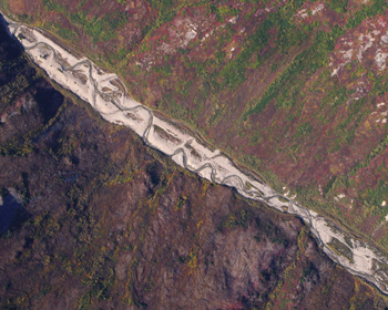 aerial view of a stream bed