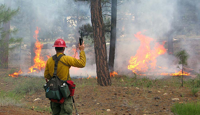 Firefighter listens to his handheld radio during a prescribed burn
