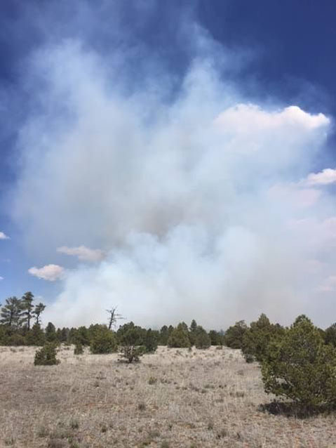 Smoke from prescribed burn