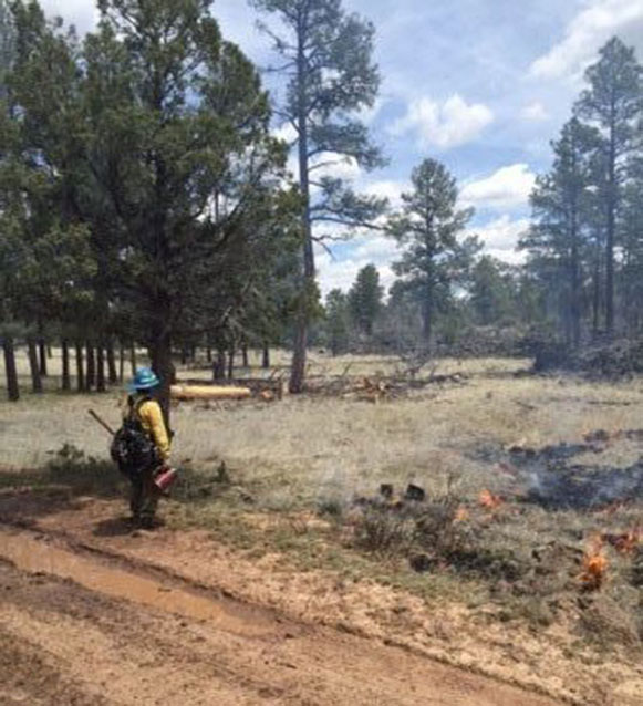 Firefighter with a handtool on the fireline