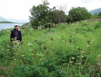 man stands in a green field