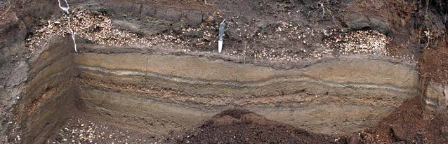 cross-section of layers of mud and volcanic ash