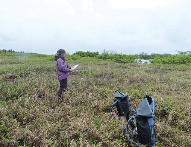 woman standing in an open field woman standing in an open field
