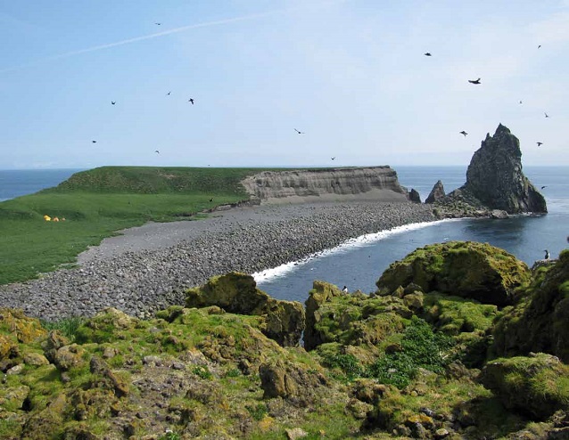 rocky shore with Castle Rock and birds flying in the sky