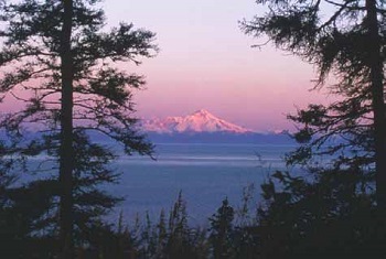 pink sunrise sky over a snowy volcano in the distance