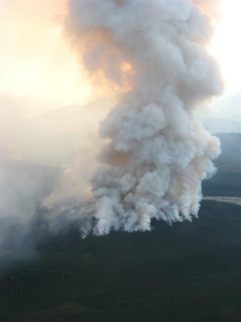 a large plume of smoke rises in the air