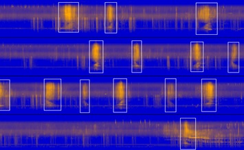 computer generated image showing sounds recorded in orange wavelengths