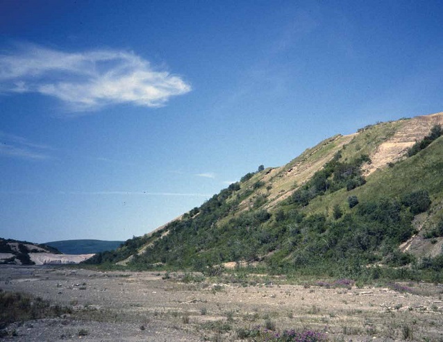 shrub covered bluff next to a valley shrub covered bluff next to a valley