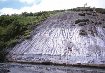 gray bluff next to a creek gray bluff next to a creek