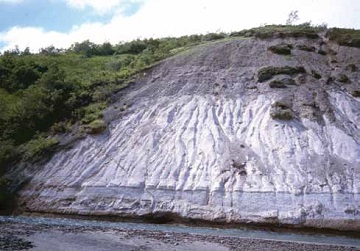 gray bluff next to a creek