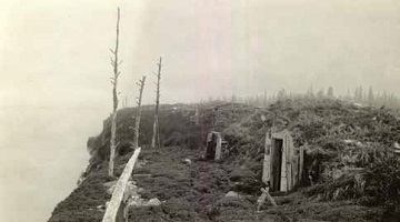 historic photograph of a shrub-covered coasline