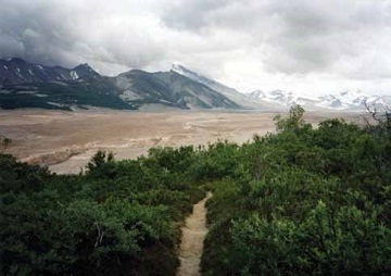 a sandy path cuts through shrubs with a brown valley and mountains in the background a sandy path cuts through shrubs with a brown valley and mountains in the background