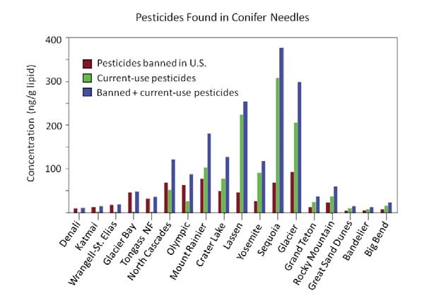 bar graph showing the amounts of various pesticides in conifer needles in national parks