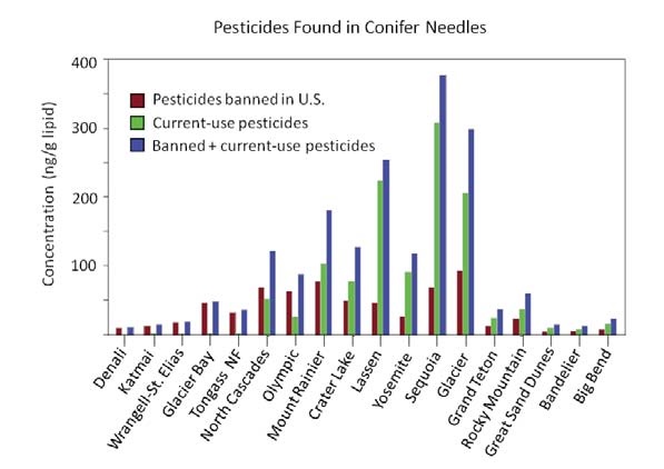 bar graph showing the amounts of various pesticides in conifer needles in national parks bar graph showing the amounts of various pesticides in conifer needles in national parks