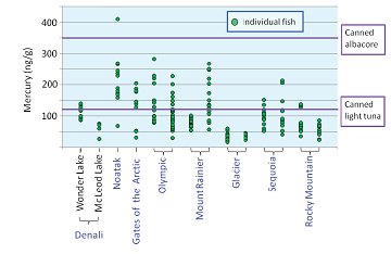 graph showing the levels of mercury in Denali fish vs. fish in other national parks